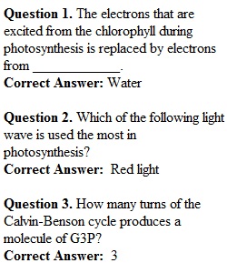 Week 8 Review Quiz